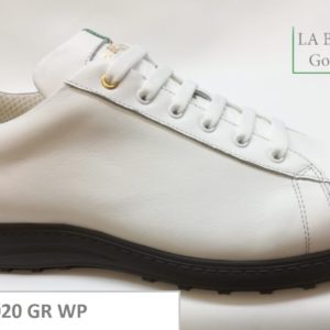 2020 gr wp 2020 gr wp